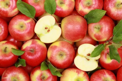تصویر 2 از قیمت خرید سیب دو رنگ عمده به صرفه و ارزان